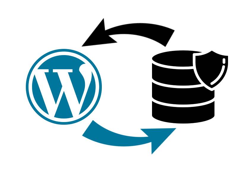 Il Database di WordPress: guida completa